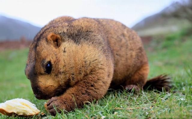 四个花季少女，自驾牧马人远赴西藏，只为那一场圆梦之旅!