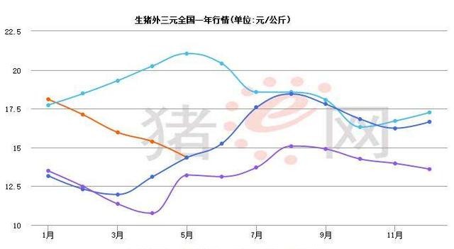 有专家预测明年养猪将大亏损，养殖户该怎么应对低价猪周期？