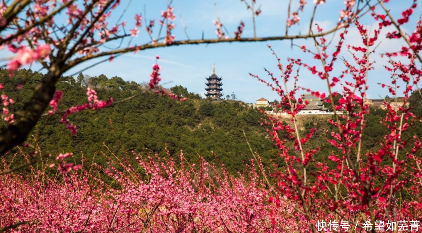 中国最干净城市, 程度不输日本, 你知道是哪里吗, 是不是你家乡