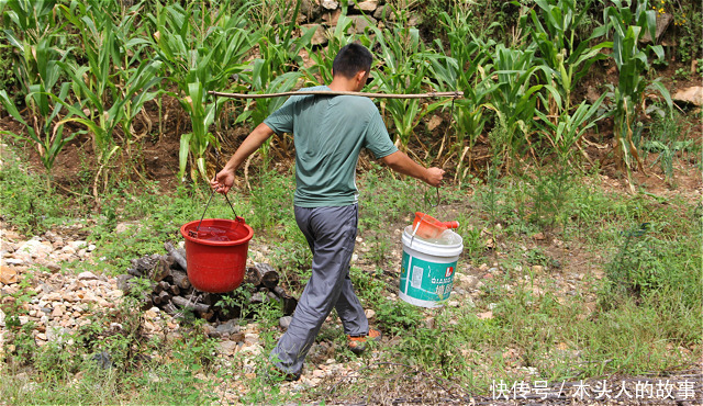  【道理】农村谚语：农民有了楼，生活就要愁，说得有道理吗