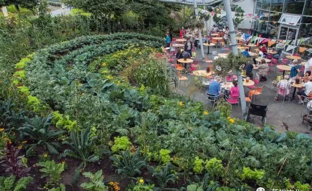 世界第八大奇迹：废矿变身伊甸园，年游客超两百万