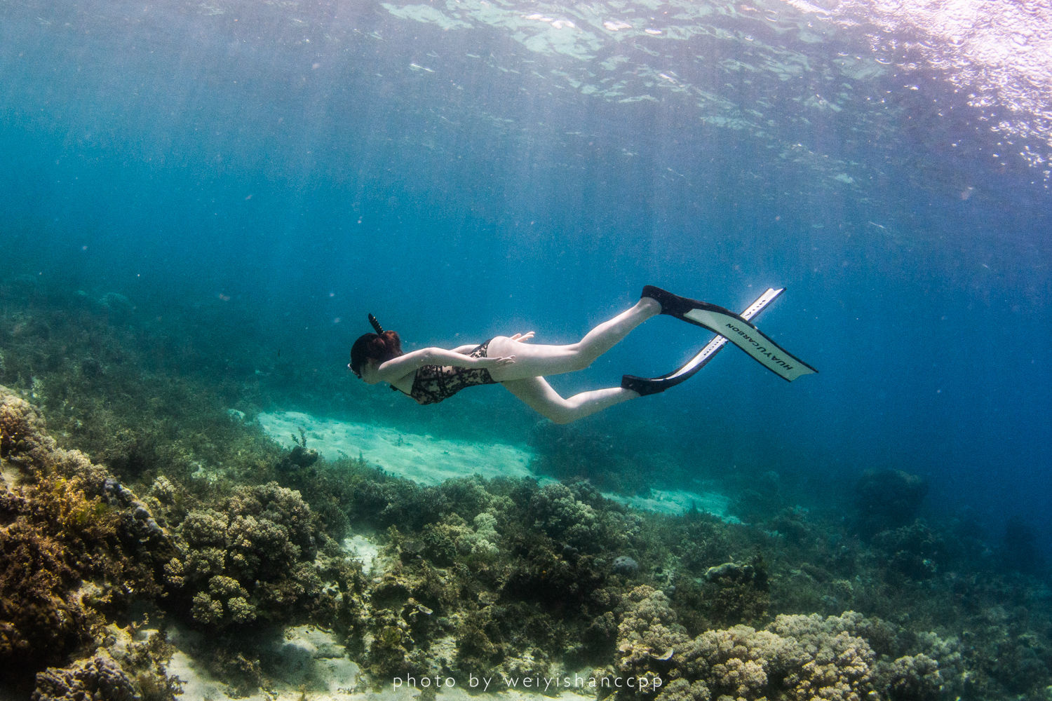 去薄荷岛学自由潜，那是潜入深海的快落呀！