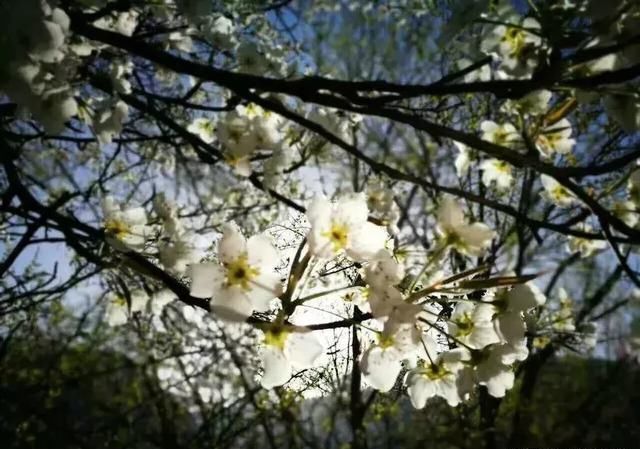 3月最佳旅行地榜单:十大绝美仙境,春暖花开美到窒息!