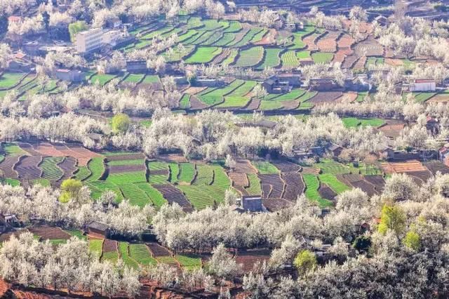 三月,去看中国最美春光