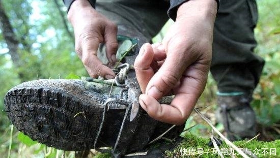  产地■产地收购价大涨，逼近45元，连年供不应求，农民：有多少