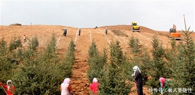 好消息！每亩补贴1600元，农民们赶紧来领！