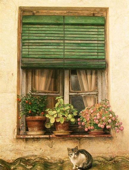 你站在窗外看风景,看风景的猫在窗外看你