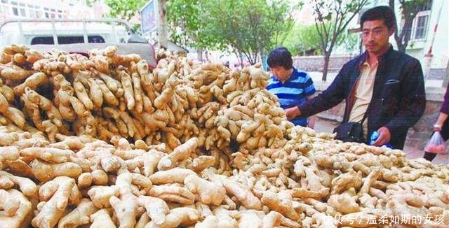 农民不种玉米改种它，亩产八千斤，年赚五十万