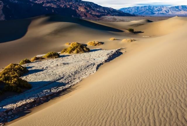 支付宝的蚂蚁森林果真种树了？如今变得如何，看了终于明白