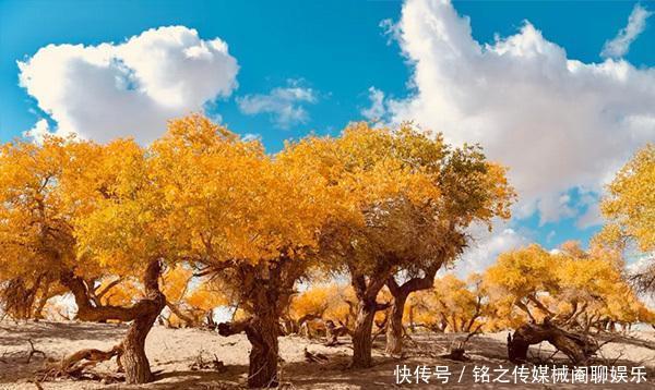 九月最佳旅行地，赶紧开启一场秋天的巡色之旅吧！