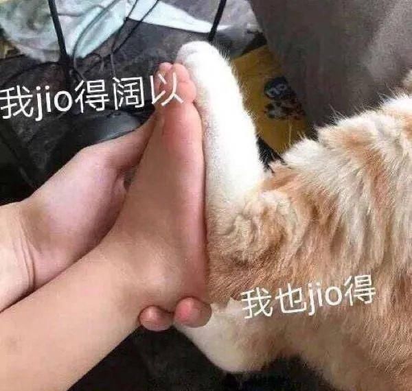  便宜@比匡威更便宜好看的帆布鞋，我给你们找了100双！