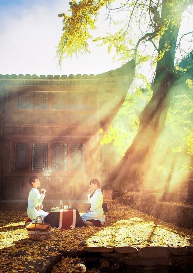 如何摄影如何摄影