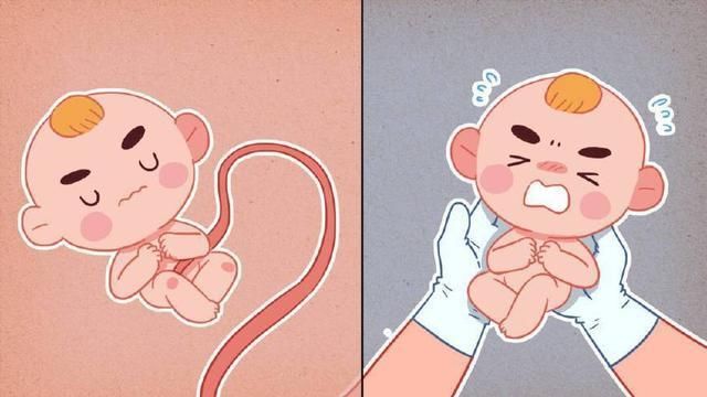 原来娱乐明星是有潜规则的,怀孕必须满3个月或以上才能公布