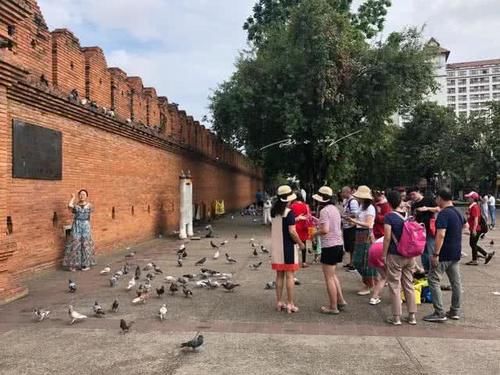 中国游客来泰国清迈旅游，在广场上拍照，竟专门找当地人来吓鸽子