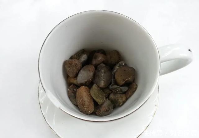 「装饰」在茶杯里建花园,美到惊艳!31万网友疯狂点赞