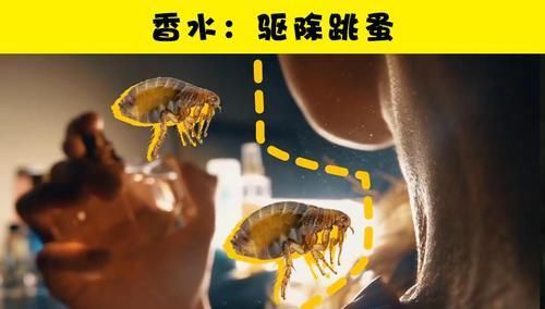 『秘密』你所不知道的12个隐藏在日常事物中的小秘密