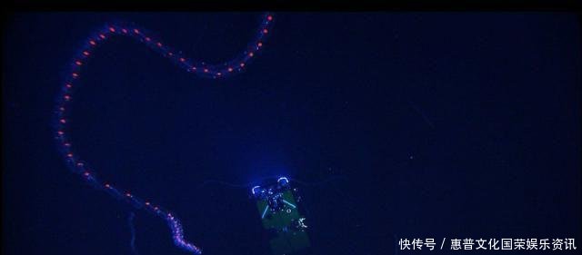  #蜘蛛#你觉得可能不存在，但世界上还真有的那些生物