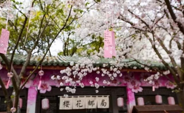 春天最美的十二个地方,你最想去哪个?