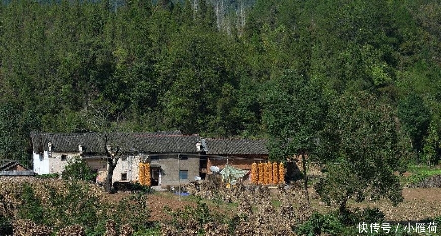 农民注意：今年起，农村这六类宅基地或许保不住，你家的在内吗？