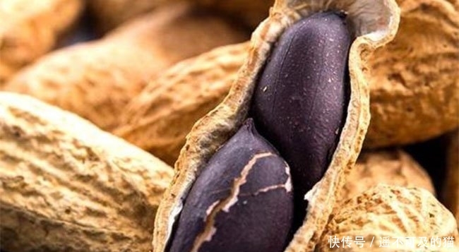  眼红|它是高价“漆黑”果，20元一斤不好买，农民看着眼红却不敢