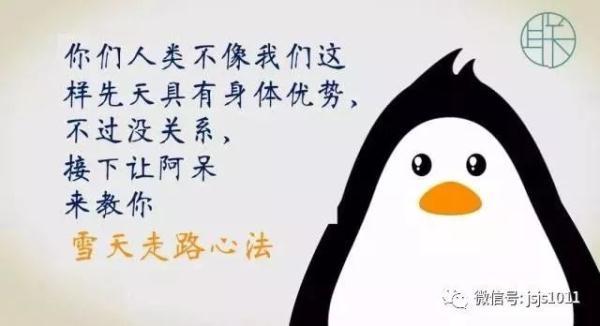 立刻转发！暴雪今天就到！积雪5-8厘米！