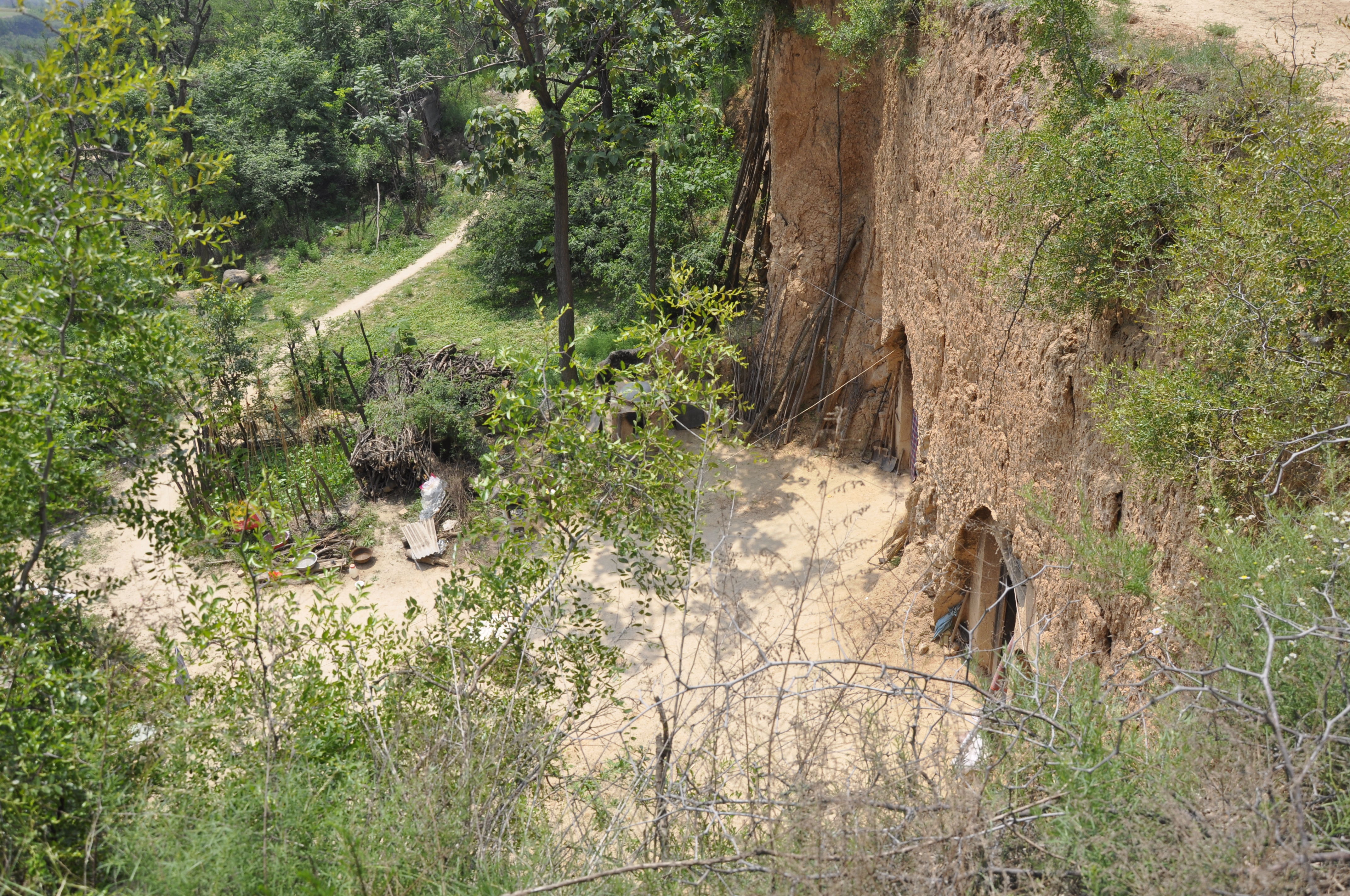 晋南一位6旬大叔年轻时用了一头牛换回来个媳妇，听大叔怎么说