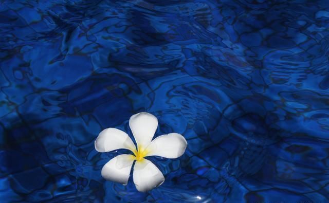 这5条摄影技巧,可让被拍摄主体更突出,你知道吗?