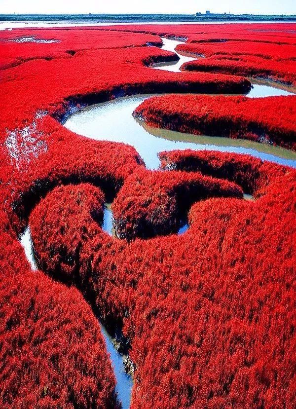 奇妙风光，难得一见