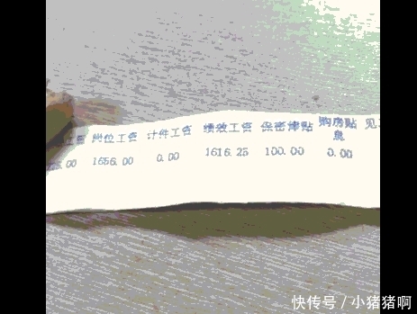 某国企员工晒出工资条, 觉得穷死了, 网友: 你确定这是最终收入?