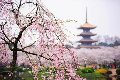 西藏出上联，新疆对下联！中国各省市“互飚”对联，真是绝了！