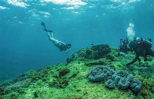 打卡海南潜水胜地： 潜到海底，做一条自在的鱼