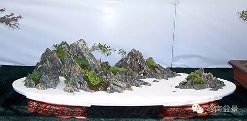 盆景构景十种风格