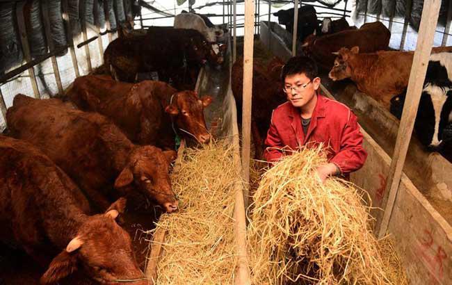  吃香：好消息未来几年这三个行业很吃香，想挣钱的要早做准备