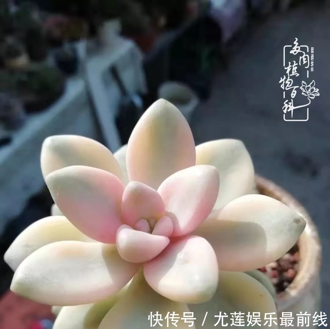  『那种』我爱的，就是你的存在！只要努力该来的都在路上！