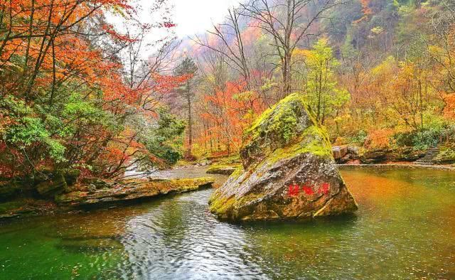 汉中的“陕西九寨沟”，一到深秋就红叶漫山，层林尽染，美不胜收