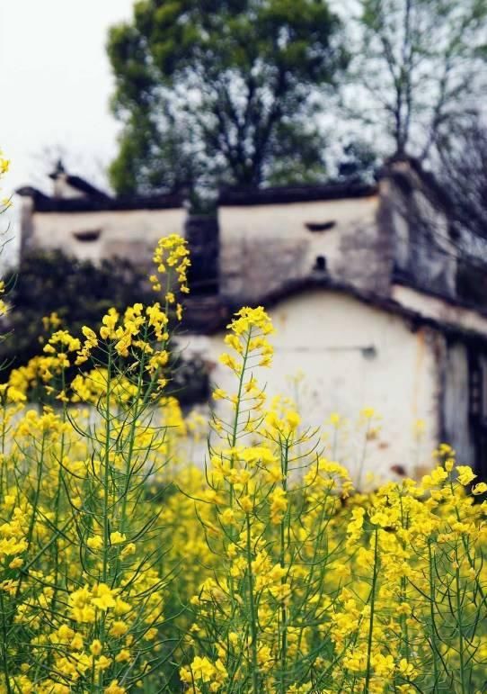 再穷也要去旅行 这30个地方一定要去