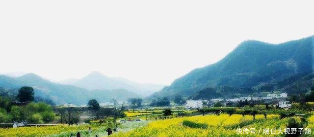  「秸秆」本月起，以下两件事农民最好别做，已经有人惹祸，大家