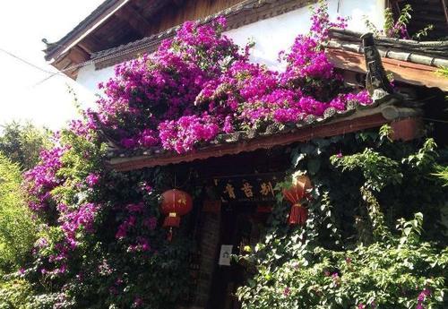 江南最该火的古镇，10亿打造去不收费用！游客：它才是江南的灵魂