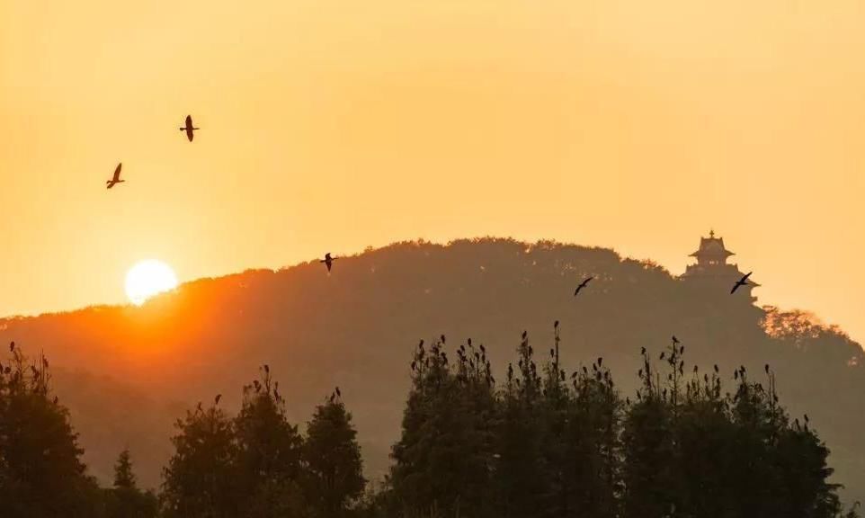 武汉秋游去哪儿玩？这5个地方景美还好玩，不来后悔一年！