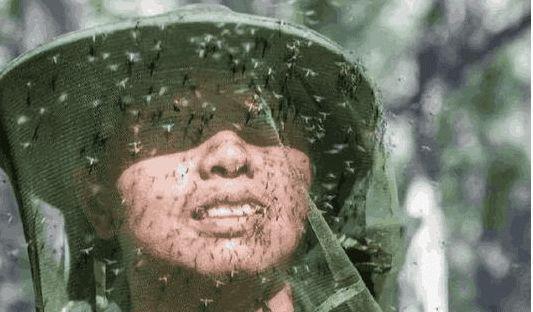  「我国」我国“死亡地带”，三天消灭蚊子超10斤，曾有7只军犬被