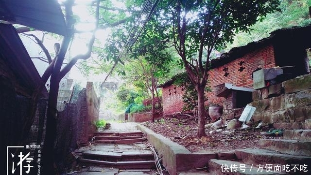 只知道重庆南山“一棵树”？其实，这里还有“壹碗水”