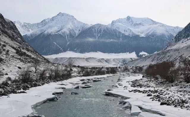 天马踏雪！这个冬天一定要来昭苏感受一下……