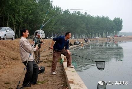  [鱼饵]钓鱼“三部曲”，先做饵料再看水，最后甩饵再抛钩，大鱼咬钩不断