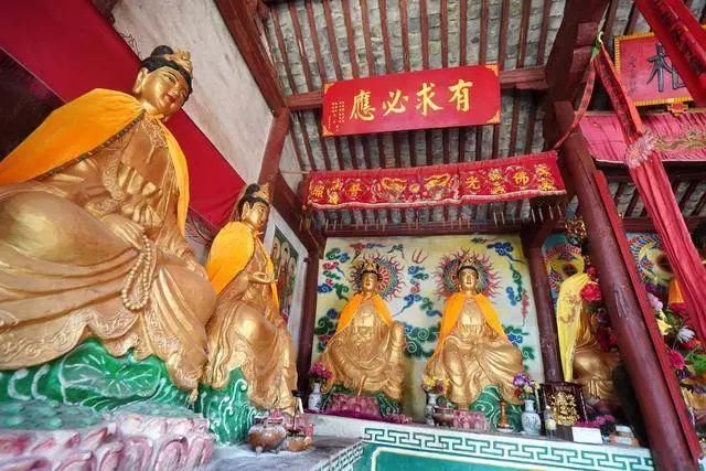 深山里八十六岁老人：古朴山寺独自修行30年，粗茶淡饭一心向佛