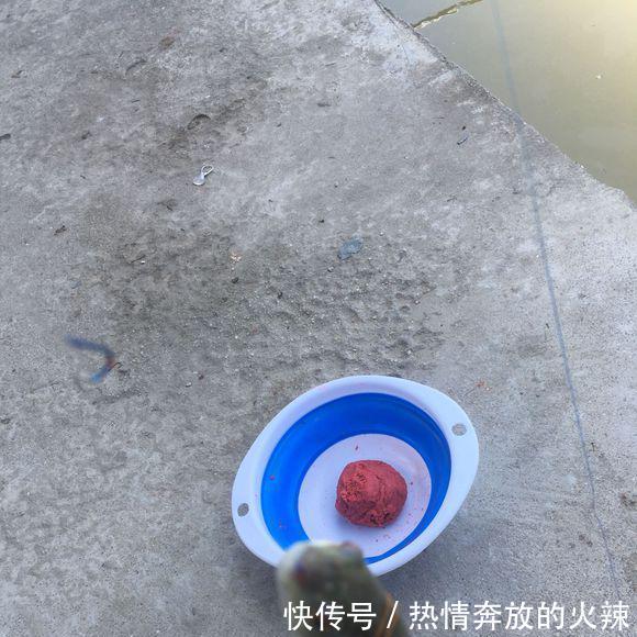 几百元一斤的奇鱼，钓起来却被丢弃岸边钓鱼人太凶猛，不敢吃