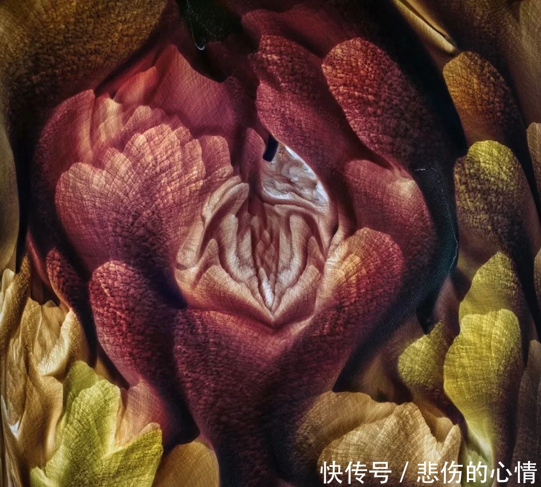  『极致』美到极致的自然风光！2019年度国际风光摄影师大赛结果出炉