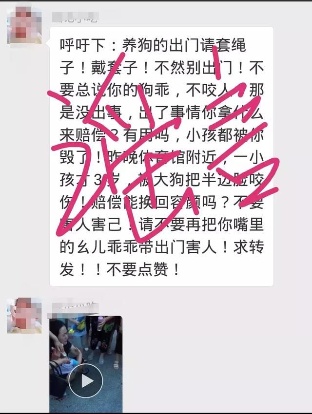 辟谣｜秀山人别再转了，网传我县体育馆小孩被狗咬是假的！