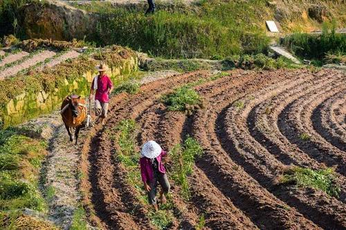  【亲戚】别不信！未来10年的农村，这3样东西才是最值钱的，不是