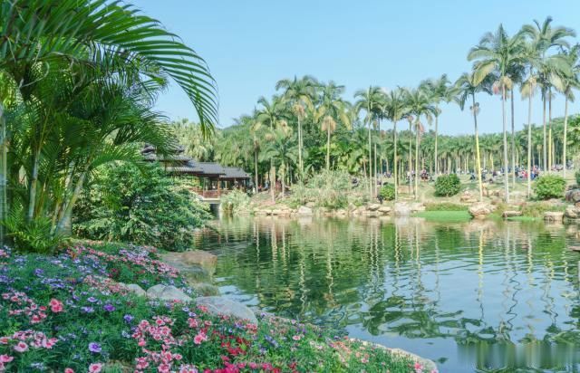 中国的绿城就藏于广西南宁，多个旅游景点免费畅玩，实在太良心了