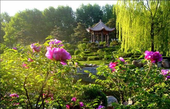  预警|吉林省天气预警！